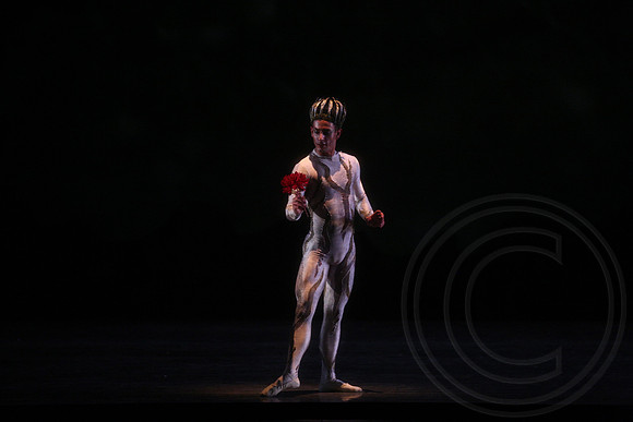 20160317_Midsummer_Nights_Dream_DR_Closeup_IMG_7131