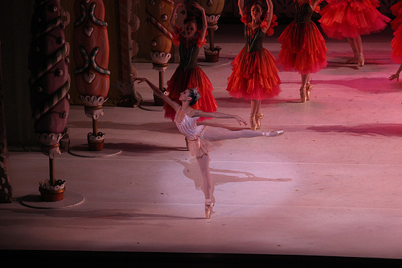 20141229_Nutcracker_WPB_Flowers__CG3P2162