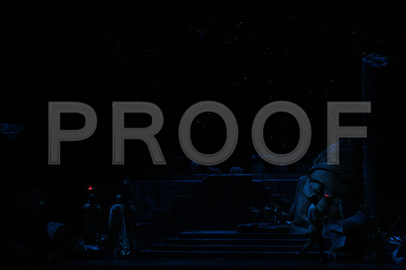 20150303_Pearl_Fisher_Act2_CG3P5749
