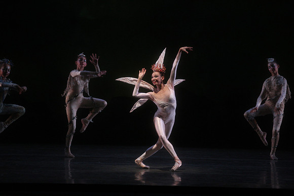 20160317_Midsummer_Night's_Dream_DR_Closeup_IMG_5447