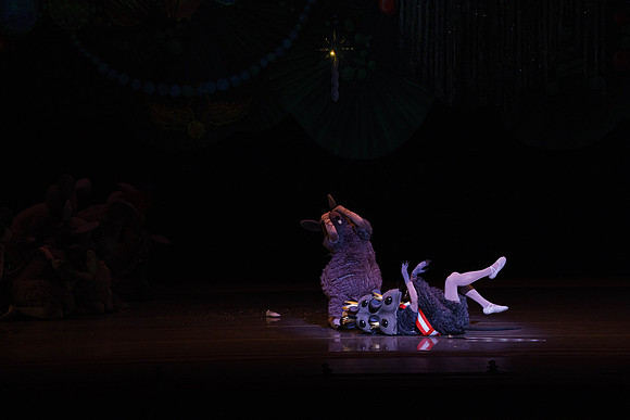 20211224_Nutcrackers_Arsht_DSC0029