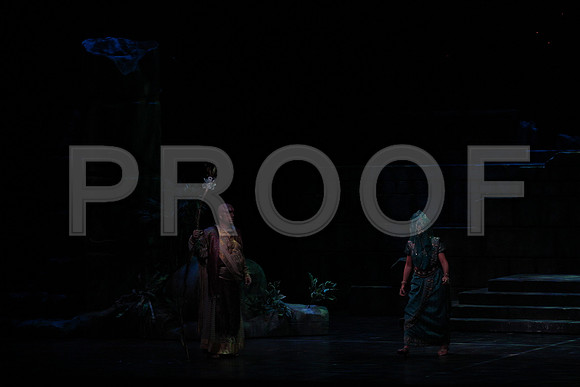 20150303_Pearl_Fisher_Act2_CG3P6007