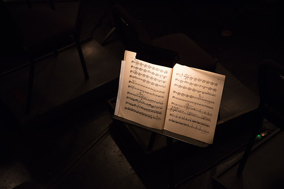 Lucia di Lammermoor Florida Grand Opera by Salvadore Cammarano