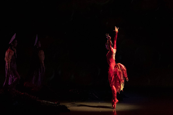 20200301_Firebird_Broward_2Cast_DSC09438