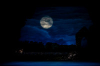 20240418_Swan_Lake_ACT_2_2_Cast_DSC5534.ARW