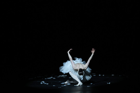 20150215_Les_Ballets_Trockadero_de_Monte_Carlo_CG3P0127
