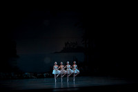 20151025_MCB_Swan_Lake_2Cast_Arsht_IMG_0019