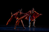 5029_DG_Miami_City_Ballet_Romeo_and_Juliet_Broward_center_2011_MG_5247