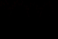 20240418_Swan_Lake_ACT_3_2_Cast_DSC8417.ARW