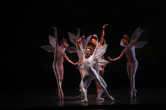 20160317_Midsummer_Night's_Dream_DR_Closeup_IMG_5613
