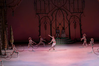 20141229_Nutcracker_WPB_Hoops_CG3P1349