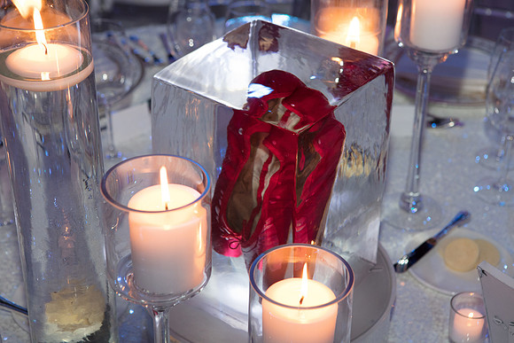 20170128_MCB_Gala_S5D6825