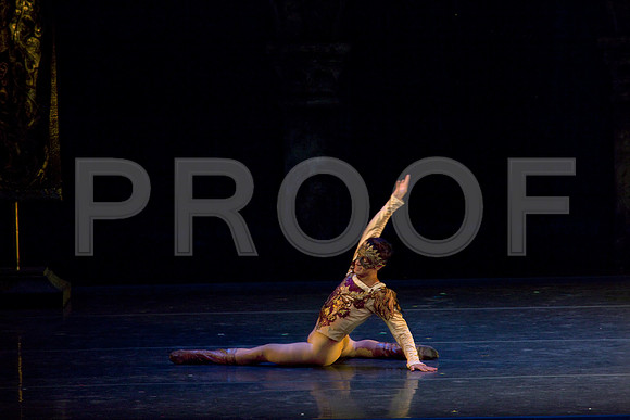 5029_DG_Miami_City_Ballet_Romeo_and_Juliet_Broward_center_2011_MG_5019