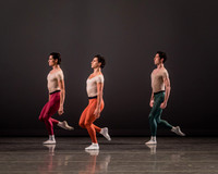 20170113_Glass_Pieces_Akhnaten_PR_MCB_Arsht_73A0709