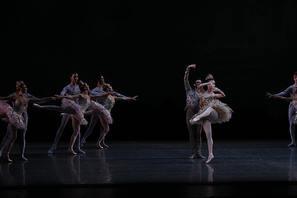 20160318_Midsummer_Night's_Dream_PR_Closeup_G3P0023