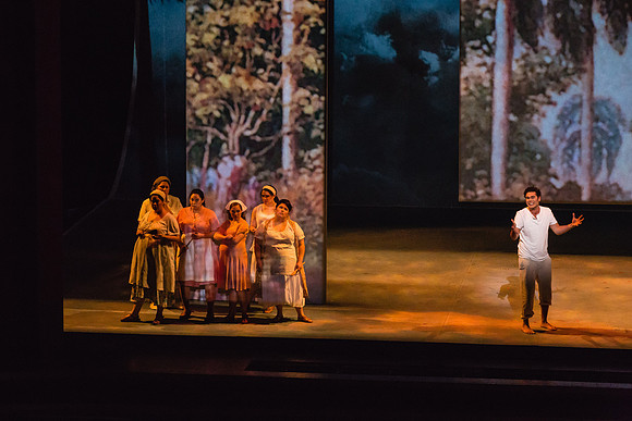 Before the Night Falls Florida Grand Opera by Jorge Martin with Dolores M. Koch