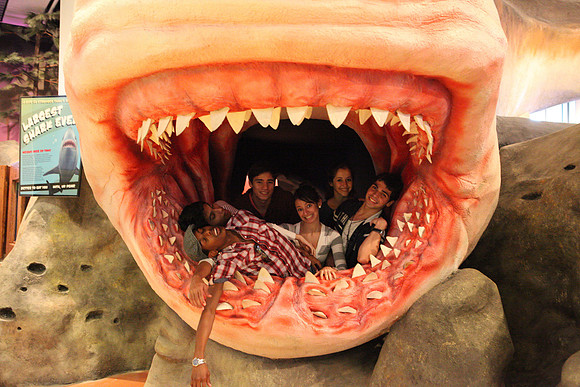 20111221_MCB_Science_Broward_IMG_1522