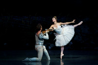 Swan Lake 2 Cast  for Amber double cheque it Tricia 0337