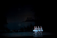 20151025_MCB_Swan_Lake_2Cast_Arsht_IMG_0068