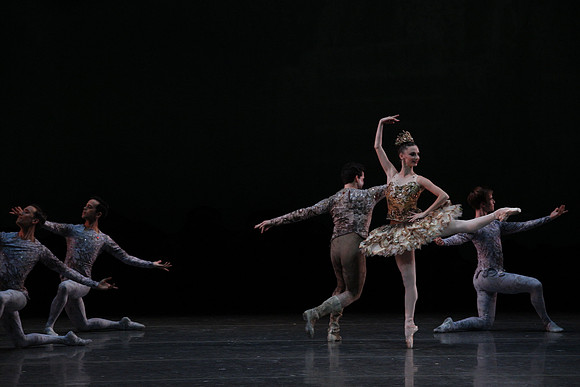 20160318_Midsummer_Night's_Dream_PR_Closeup_G3P0073