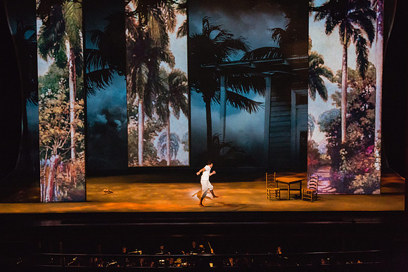 Before Night Falls Florida Grand Opera by Jorge Martin with Dolores M. Koch