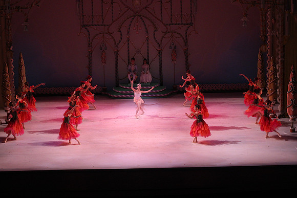 20141229_Nutcracker_WPB_Flowers__CG3P2104