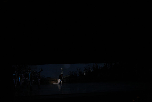 20151025_MCB_Swan_Lake_2Cast_Arsht_IMG_1495