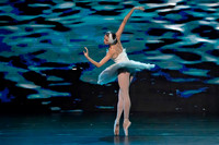 20241026_untitled20241026_Dying Swan__DSC5623