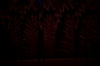 20160213_Year_of_the_Rabbit_2Cast_Arsht_PR_G3P6288