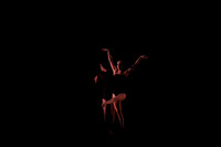 20151025_MCB_Vicera_2Cast_Arsht_CG3P2930
