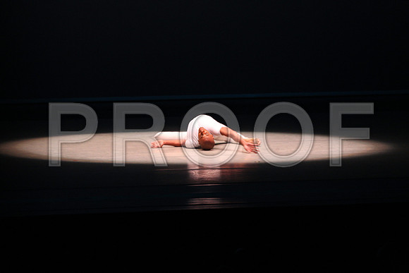 20170223_Alvin_Ailey_Revelations_PR_Wide_9C7C0023