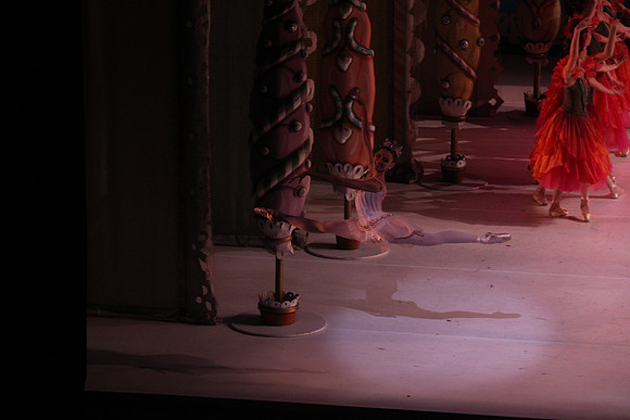 20141229_Nutcracker_WPB_Flowers__CG3P2509