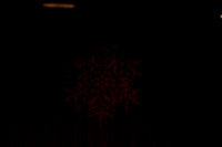 20141229_Nutcracker_WPB_Angels_CG3P0004