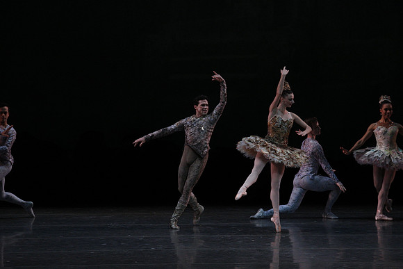 20160318_Midsummer_Night's_Dream_PR_Closeup_G3P0087