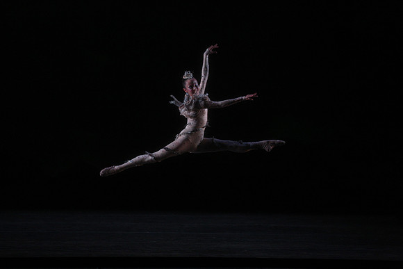 20160317_Midsummer_Night's_Dream_DR_Closeup_IMG_5427