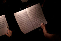 20240417_Swan_Lake_Orchestra_DSC5060.ARW
