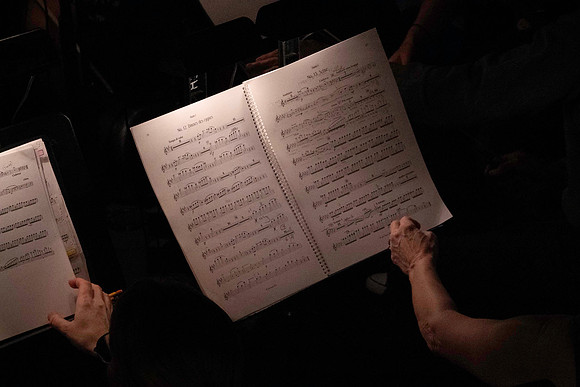 20240417_Swan_Lake_Orchestra_DSC5060.ARW