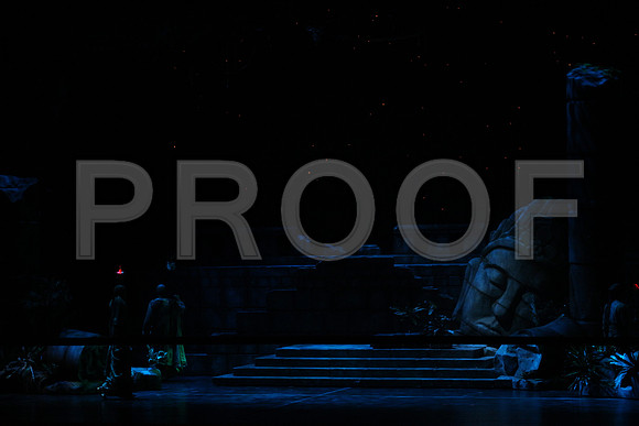 20150303_Pearl_Fisher_Act2_CG3P5752