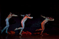 5029_DG_Miami_City_Ballet_Romeo_and_Juliet_Broward_center_2011_MG_4588