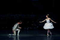 Swan Lake 2 Cast  for Amber double cheque it Tricia 0171-2