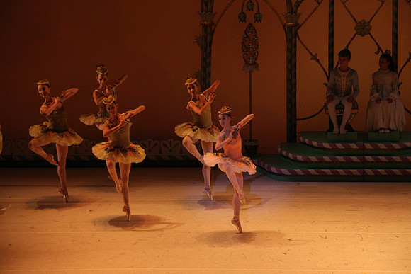 20141229_Nutcracker_WPB_Marzipan_CG3P1523