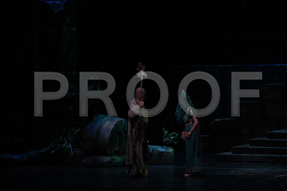 20150303_Pearl_Fisher_Act2_CG3P6016