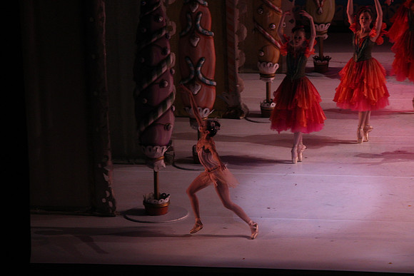 20141229_Nutcracker_WPB_Flowers__CG3P2165
