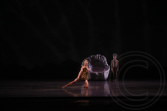 20160317_Midsummer_Nights_Dream_DR_Wide_75A4991