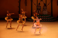 20141229_Nutcracker_WPB_Marzipan_CG3P1530