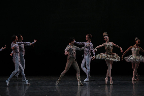 20160318_Midsummer_Night's_Dream_PR_Closeup_G3P0090