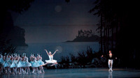 20151025_MCB_Swan_Lake_2Cast_Arsht_IMG_1109