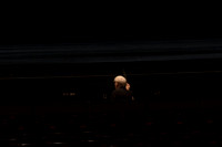20180406_La_Valse_Motion_Blur_Balanchine_73A6879