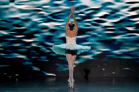 20241026_untitled20241026_Dying Swan__DSC5728