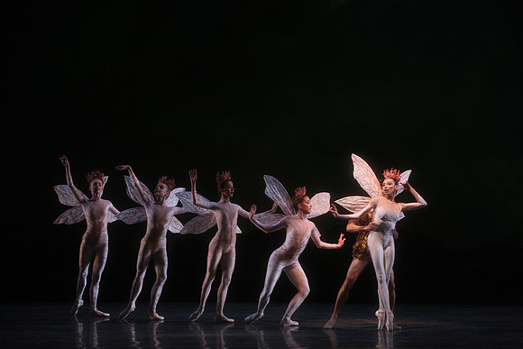 20160317_Midsummer_Night's_Dream_DR_Closeup_IMG_5557
